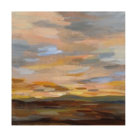 Silvia Vassileva 'High Desert Sky III' Canvas Art,24x24